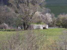 Ligne Maginot - VAUX LèS MOUZON NORD - (Blockhaus pour canon) - Vue vers l'est.
Blockhaus P-Fond-de-Noé-Nord