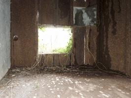 Ligne Maginot - A36 - FORT JEAN DIOT - (Blockhaus pour canon) - 