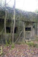 Ligne Maginot - A36 - FORT JEAN DIOT - (Blockhaus pour canon) - 