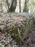 Ligne Maginot - 66BIS - BOIS LE SART CENTRE - (Blockhaus pour arme infanterie) - Couvercle de la cheminée de ventilation de droite
encore en place.