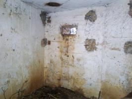 Ligne Maginot - 66TER - BOIS LE SART NORD - (Blockhaus pour arme infanterie) - Intérieur du bloc.
Créneau de gauche (FM).
