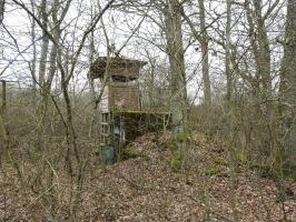 Ligne Maginot - SCHEIDE 3 - (Blockhaus de type indéterminé) - Le blockhaus sert de support à un mirador de chasse.
