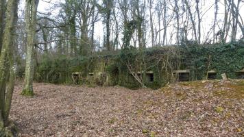 Ligne Maginot - BOIS DES ROCHES (3° DIC) - (PC) - 