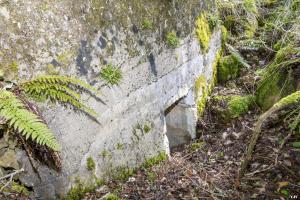 Ligne Maginot - BOIS DE VILLÉCLOYE 2 - (Observatoire d'infanterie) - 