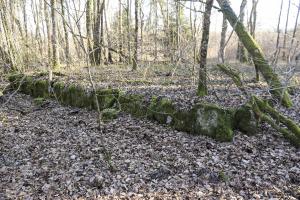 Ligne Maginot - BOIS DE LORRAINE - (Dépôt du Génie) - Le seul reste de soubassement trouvé lors de la brève visite