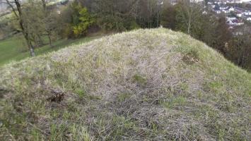 Ligne Maginot - CITADELLE DE MONTMEDY NORD - (Observatoire d'artillerie) - Trace de tranchée d'accès à un trou, emplacement d'une guérite ?