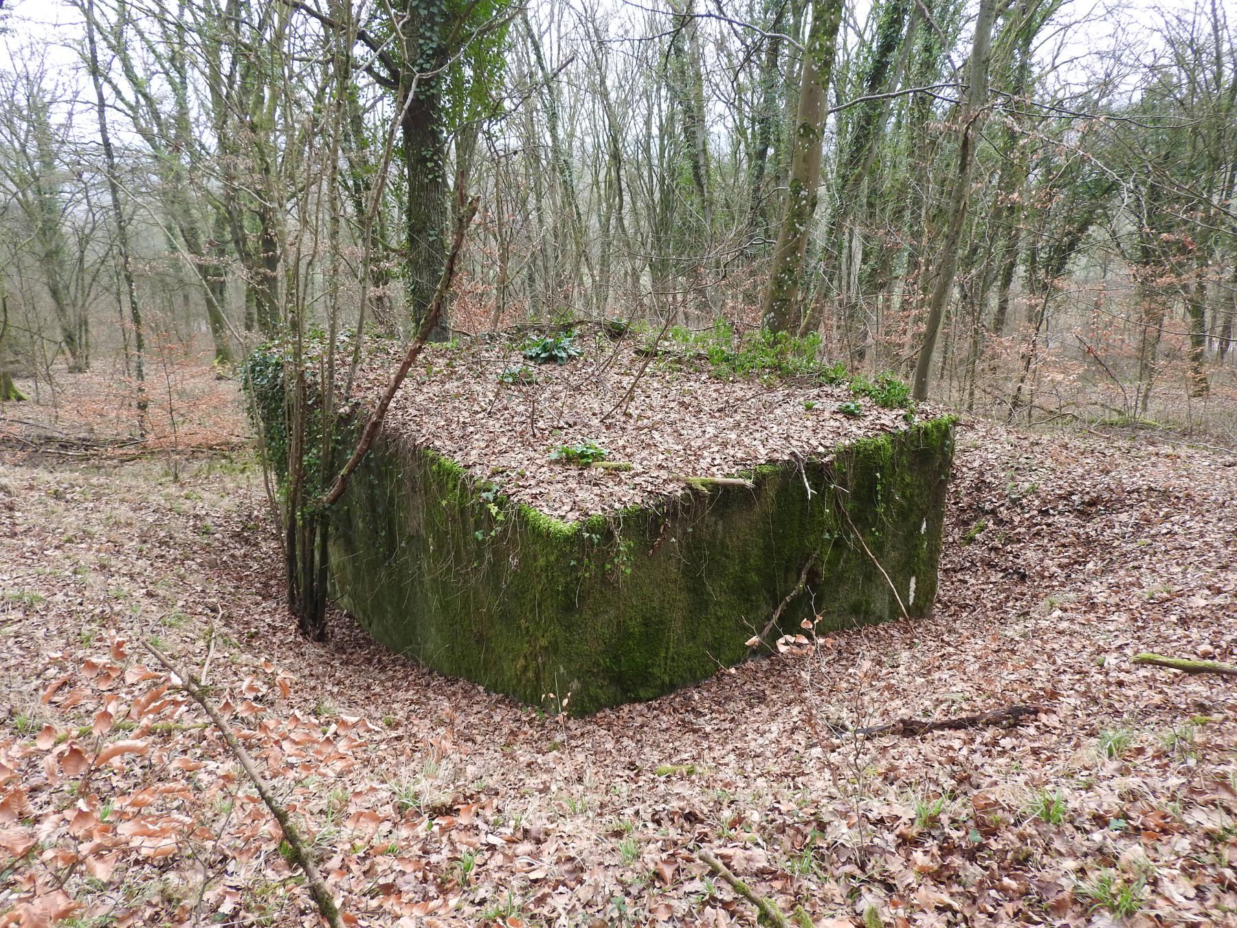 Ligne Maginot - BB337 - (Blockhaus pour arme infanterie) - La façade arrière du blockhaus. - STENGER Mathieu
