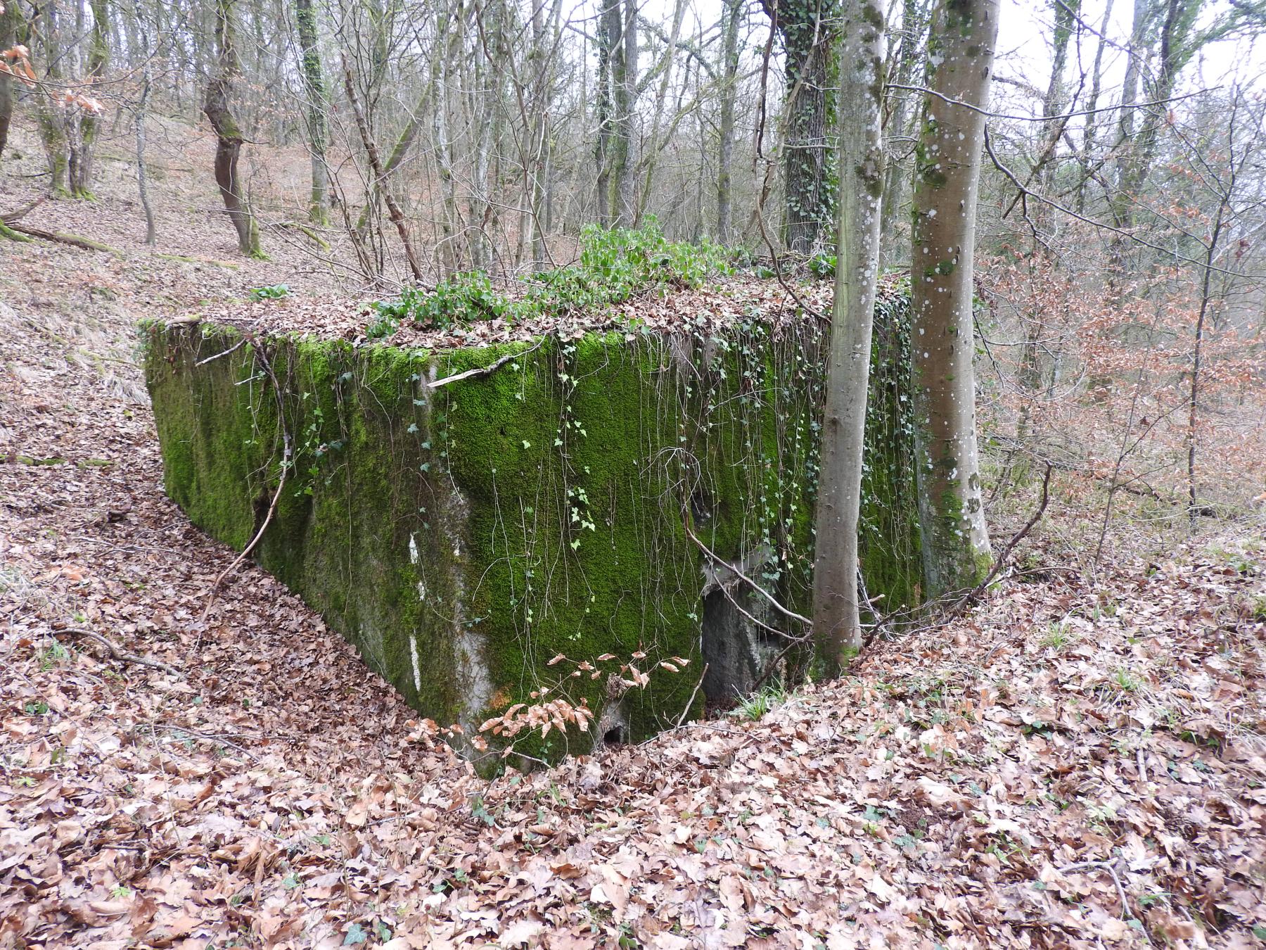 Ligne Maginot - BB337 - (Blockhaus pour arme infanterie) - La façade ouest et l'entrée latérale. - STENGER Mathieu