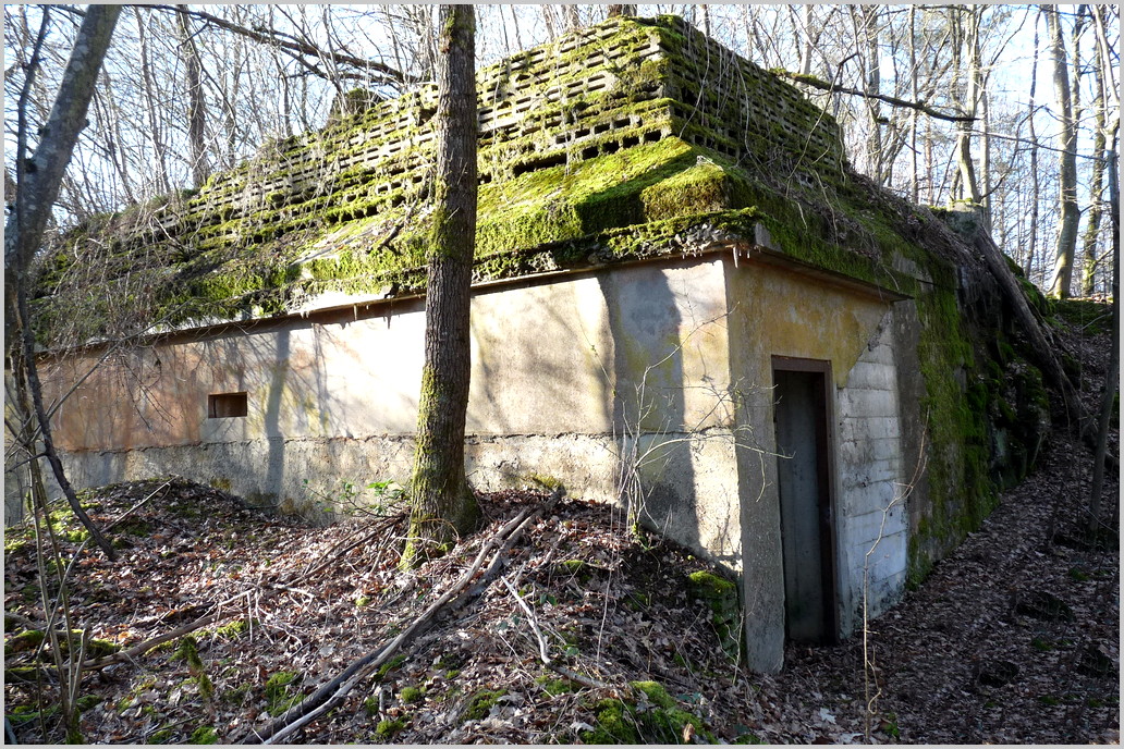 Ligne Maginot - KESKASTEL (51°RMIC) - (PC de Sous-Secteur) -  - SYLVIE LAURE LAMBERT
