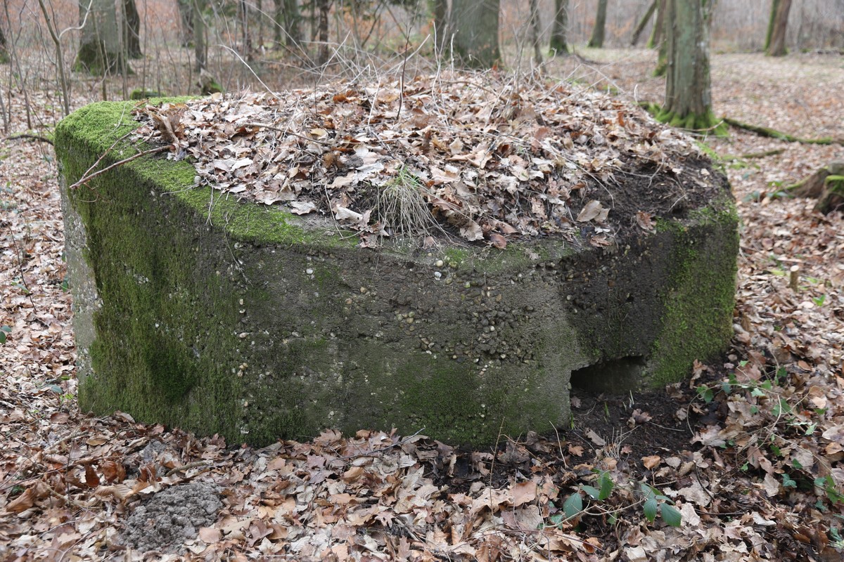 Ligne Maginot - HERBITZHEIM 28 - (Blockhaus pour arme infanterie) -  - Alain Perouffe