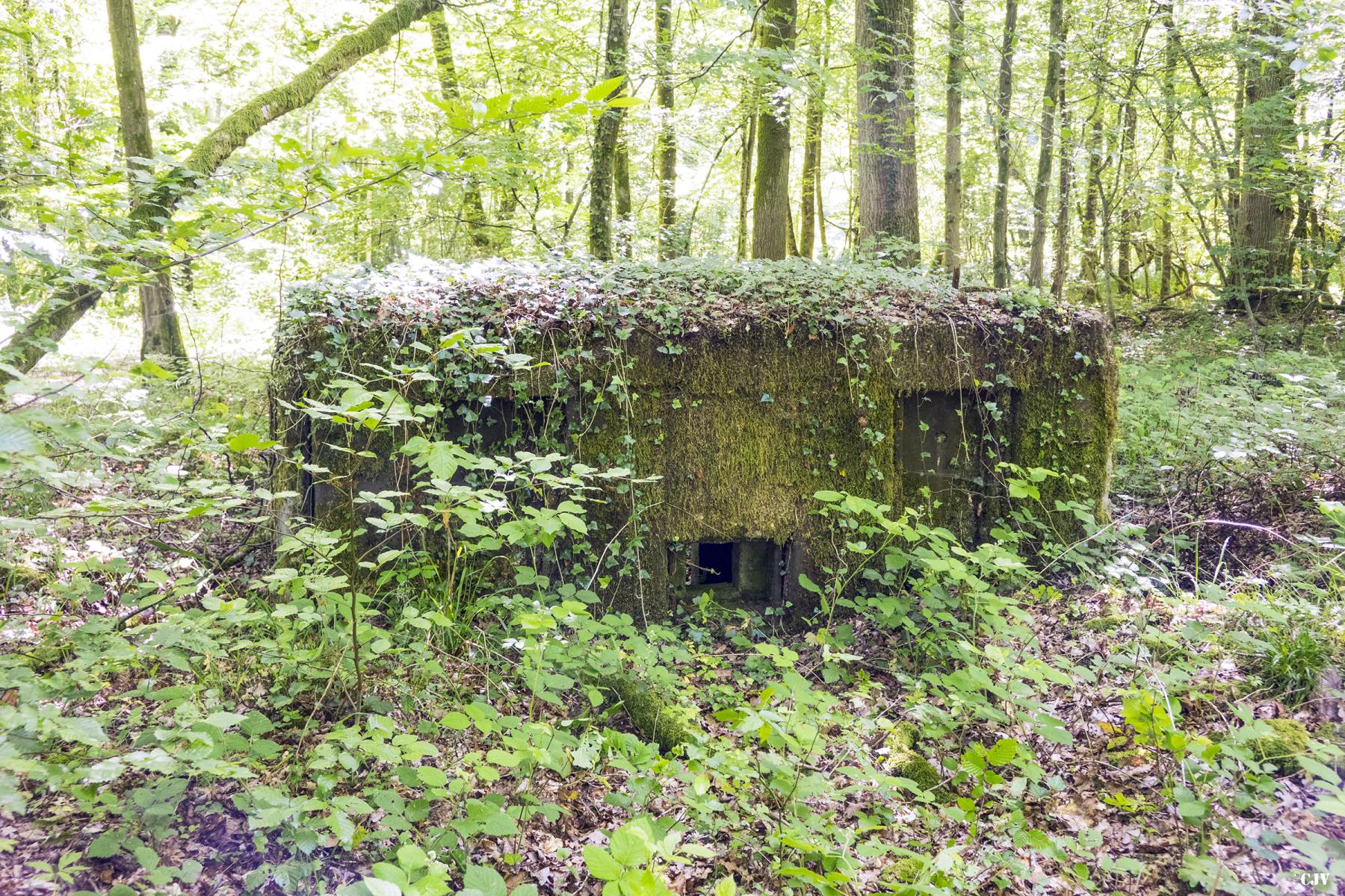 Ligne Maginot - UBERNIED 2 - (Blockhaus pour arme infanterie) - Camouflage naturelle - Lia VERMEULEN