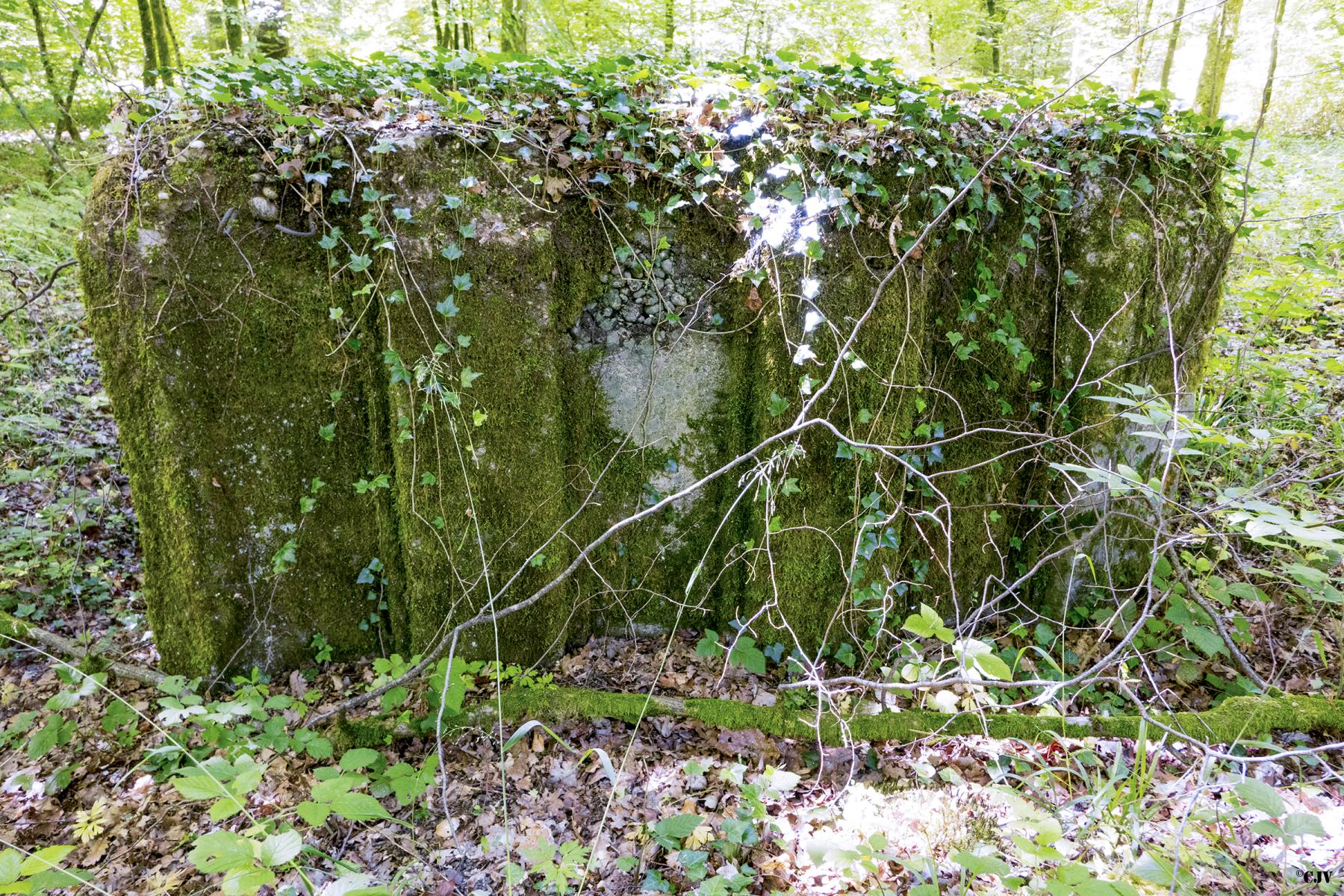 Ligne Maginot - UBERNIED 2 - (Blockhaus pour arme infanterie) -  - Lia VERMEULEN