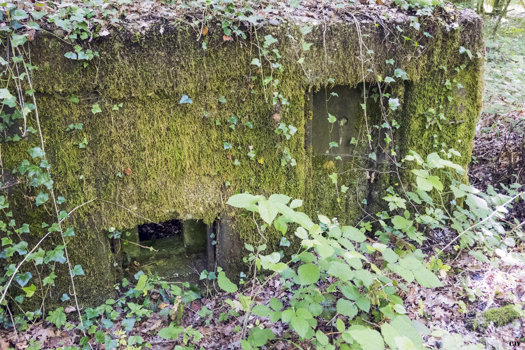 Ligne Maginot - UBERNIED 2 - (Blockhaus pour arme infanterie) -  - Lia VERMEULEN
