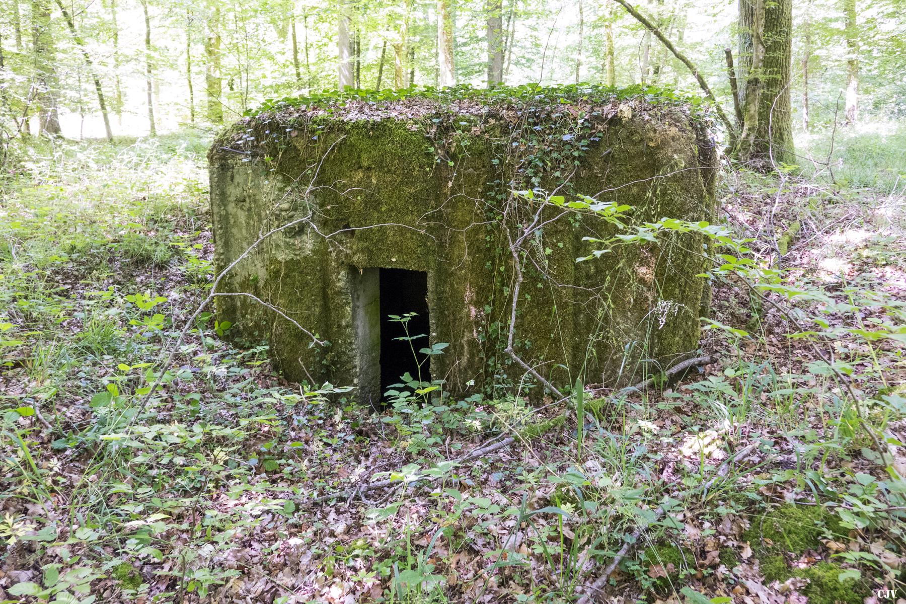 Ligne Maginot - UBERNIED 2 - (Blockhaus pour arme infanterie) - L'entrée - Lia VERMEULEN