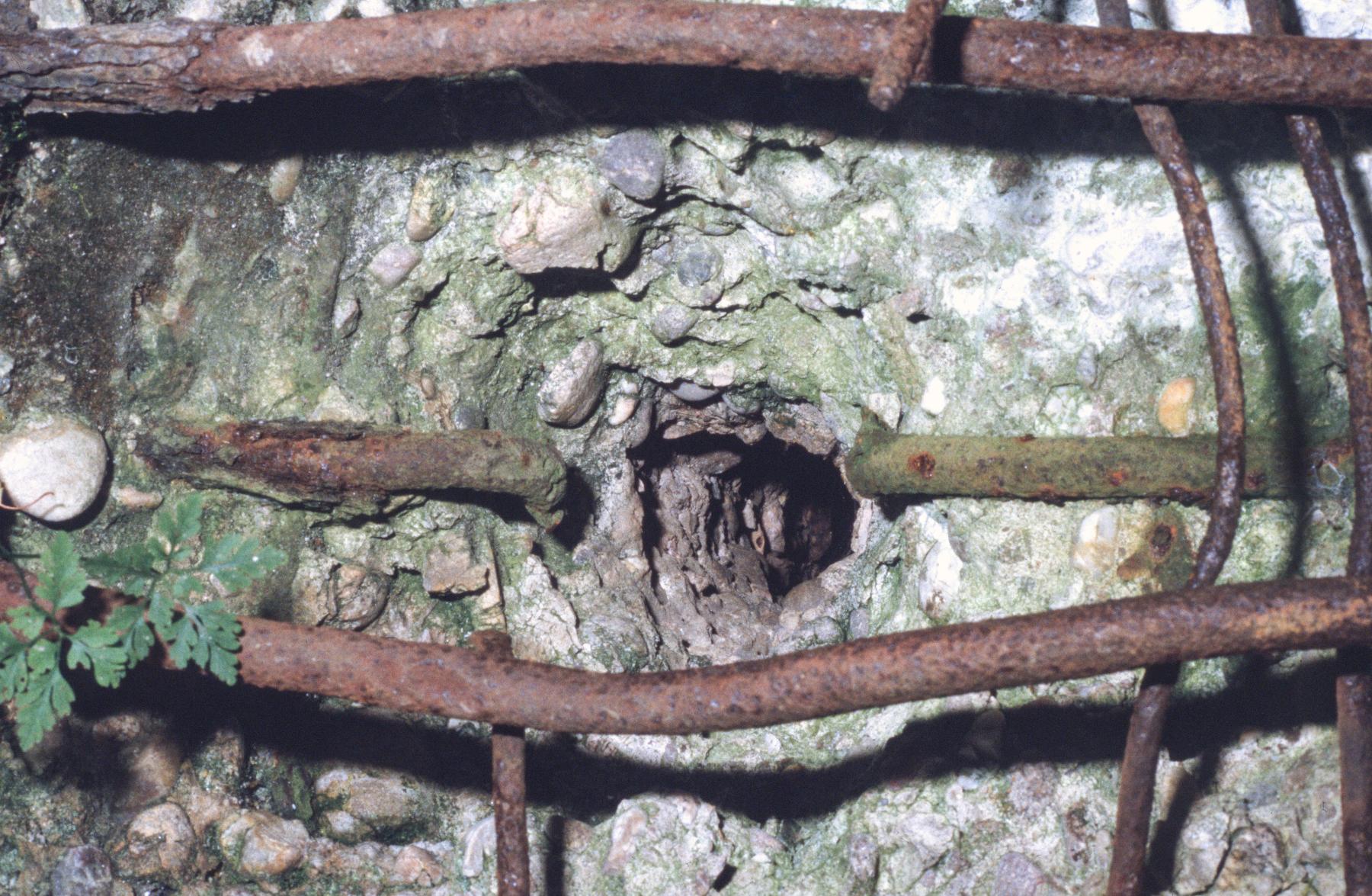Ligne Maginot - WELSCHBRUCH NORD 1 - (Blockhaus pour arme infanterie) - Impact sur la façade - MANSUY Michel