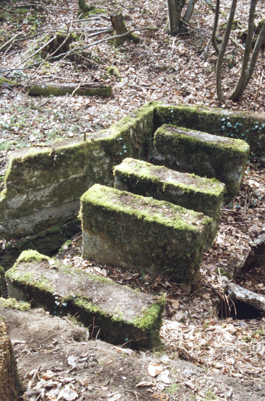 Ligne Maginot - HETSCHMUEHLE - (Inondation défensive) -  - MANSUY Michel