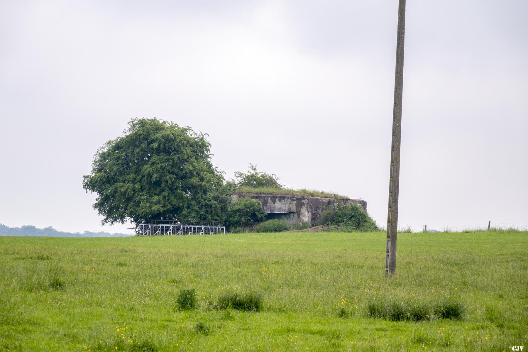 Ligne Maginot - WEIHER 3 - (Blockhaus de type indeterminé) -    - Lia VERMEULEN