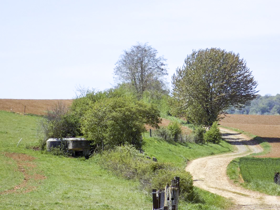 Ligne Maginot - 12C - MONT DE BRUNE NORD - (Blockhaus pour arme infanterie) - Pris du voie Romaine vers le sud-ouest - R Tucker