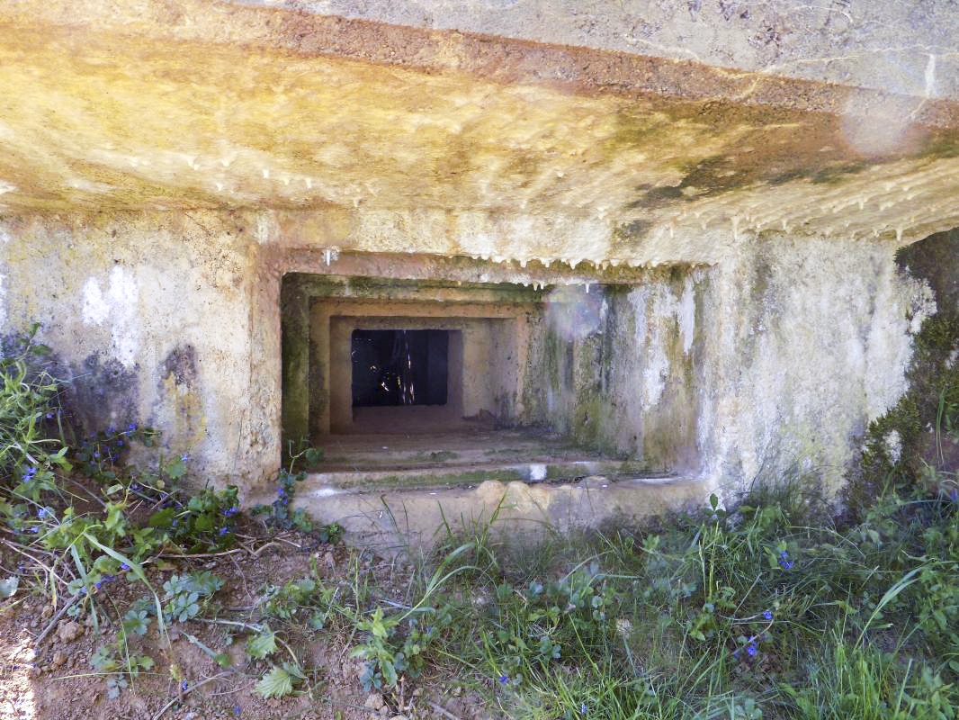 Ligne Maginot - 12C - MONT DE BRUNE NORD - (Blockhaus pour arme infanterie) - Créneau, face centrale - R Tucker