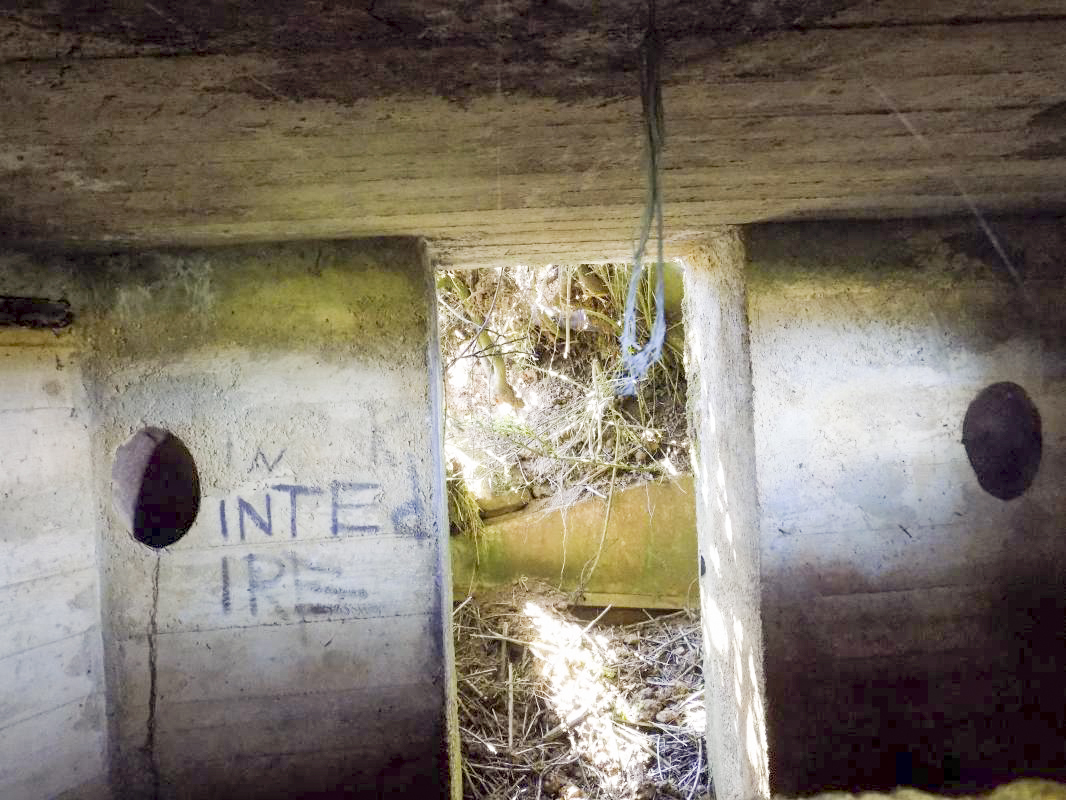 Ligne Maginot - 12C - MONT DE BRUNE NORD - (Blockhaus pour arme infanterie) - L'entrée pris du créneau centrale - R Tucker