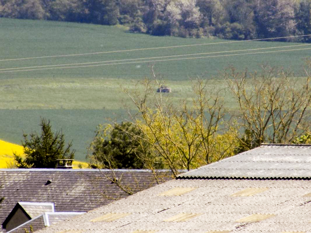 Ligne Maginot - 12C - MONT DE BRUNE NORD - (Blockhaus pour arme infanterie) - Vue vers l'est, le blockhaus 13C - R Tucker