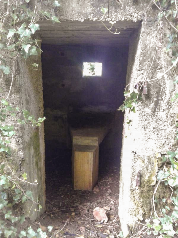 Ligne Maginot - 12A - BOIS DE BLANCHAMPAGNE OUEST - (Blockhaus pour arme infanterie) - Entrée du bloc.
Support de mitrailleuse du créneau frontal visible. - Fabrice THOMASSIN