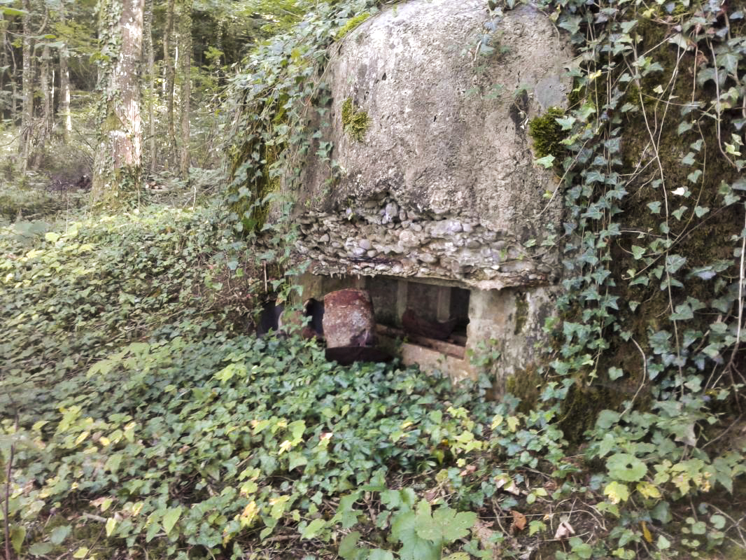 Ligne Maginot - 12A - BOIS DE BLANCHAMPAGNE OUEST - (Blockhaus pour arme infanterie) - Le créneau de droite, destiné à une mitrailleuse, a un champ de tir plus large et il est protégé par une visière. - Fabrice THOMASSIN