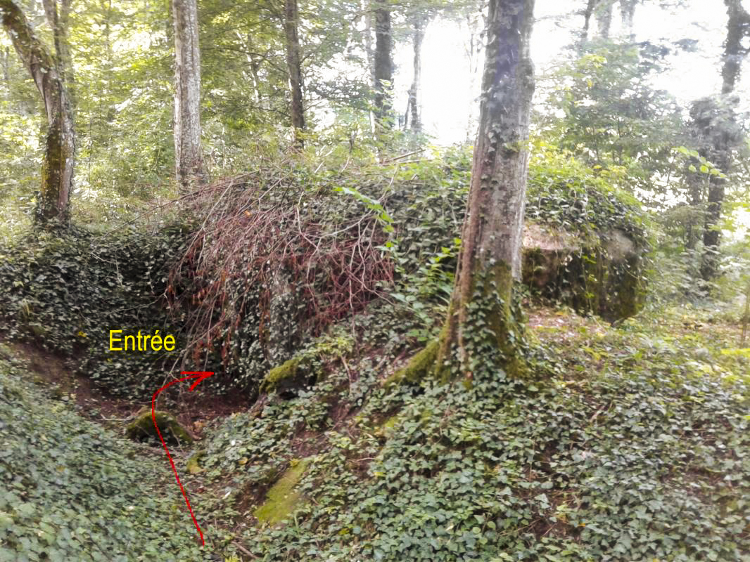 Ligne Maginot - 12A - BOIS DE BLANCHAMPAGNE OUEST - (Blockhaus pour arme infanterie) - Vue du bloc par l'Est avec tranchée d'accès coudée. - Fabrice THOMASSIN