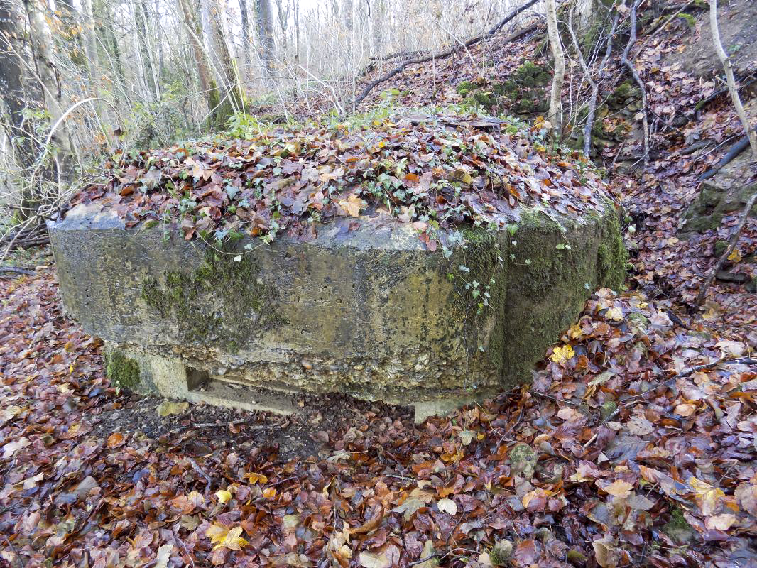 Ligne Maginot - 13A - BOIS DE BLANCHAMPAGNE EST - (Blockhaus pour arme infanterie) - Face gauche - R Tucker