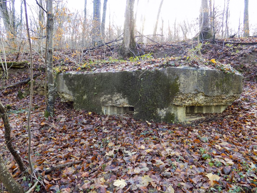 Ligne Maginot - 13A - BOIS DE BLANCHAMPAGNE EST - (Blockhaus pour arme infanterie) - Faces frontale et gauche - R Tucker