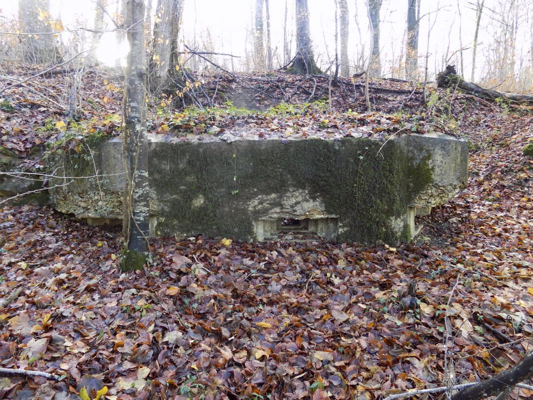 Ligne Maginot - 13A - BOIS DE BLANCHAMPAGNE EST - (Blockhaus pour arme infanterie) - Faces frontale et gauche - R Tucker