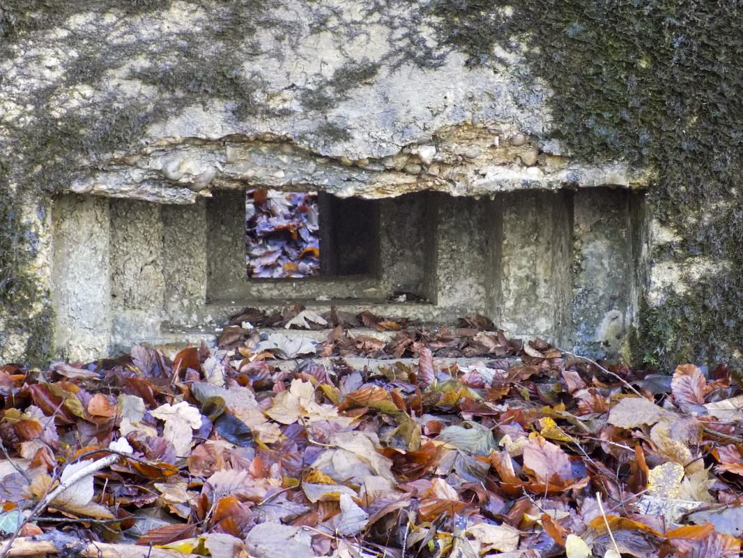 Ligne Maginot - 13A - BOIS DE BLANCHAMPAGNE EST - (Blockhaus pour arme infanterie) - Face frontale, créneau Obs/FM - R Tucker