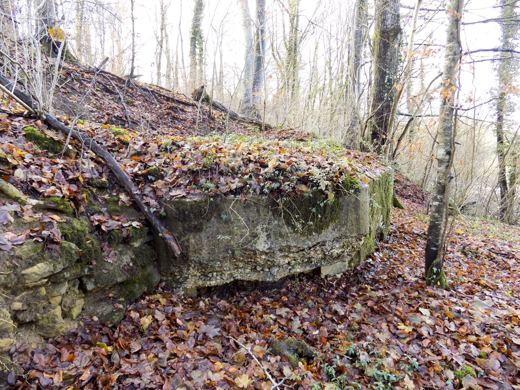 Ligne Maginot - 13A - BOIS DE BLANCHAMPAGNE EST - (Blockhaus pour arme infanterie) - Face droite - R Tucker