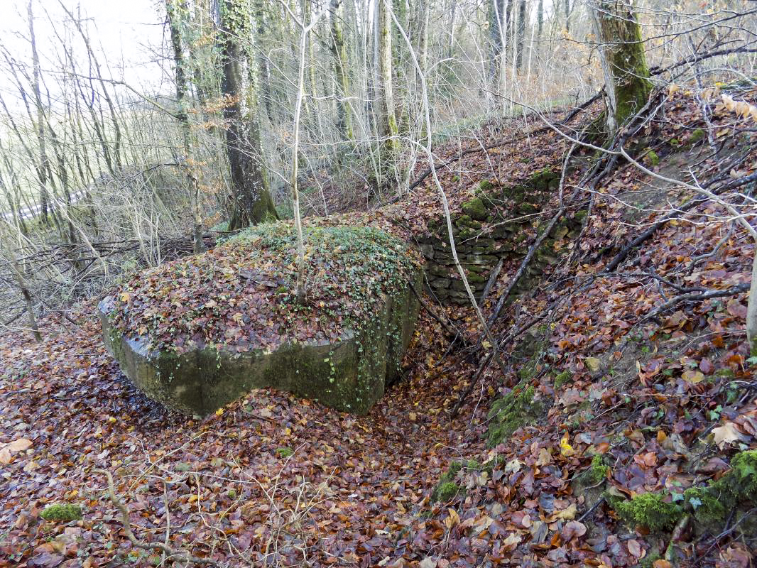 Ligne Maginot - 13A - BOIS DE BLANCHAMPAGNE EST - (Blockhaus pour arme infanterie) - Faces gauche et arrière - R Tucker
