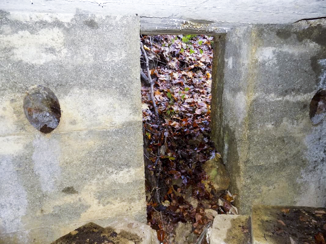 Ligne Maginot - 13A - BOIS DE BLANCHAMPAGNE EST - (Blockhaus pour arme infanterie) - L'entrée - R Tucker