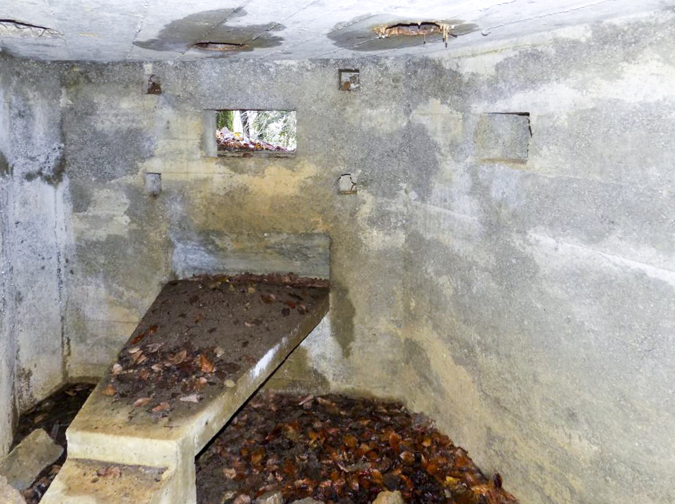 Ligne Maginot - 13A - BOIS DE BLANCHAMPAGNE EST - (Blockhaus pour arme infanterie) - Créneaux Hotchkiss gauche et Obs/FM centrale - R Tucker