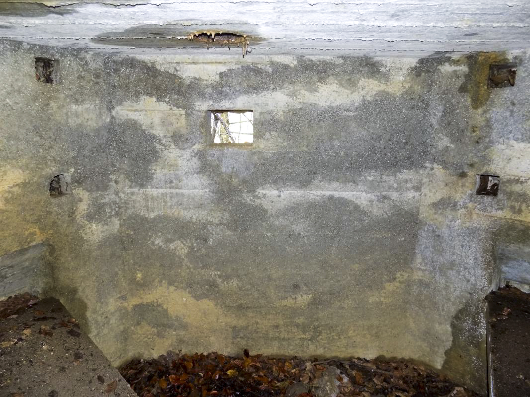 Ligne Maginot - 13A - BOIS DE BLANCHAMPAGNE EST - (Blockhaus pour arme infanterie) - Créneaux Obs/FM centrale - R Tucker