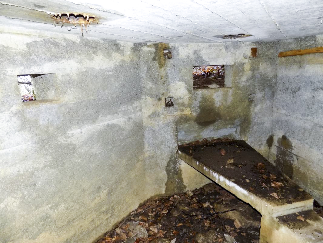 Ligne Maginot - 13A - BOIS DE BLANCHAMPAGNE EST - (Blockhaus pour arme infanterie) - Créneaux Obs/FM centrale et Hotchkiss droite - R Tucker