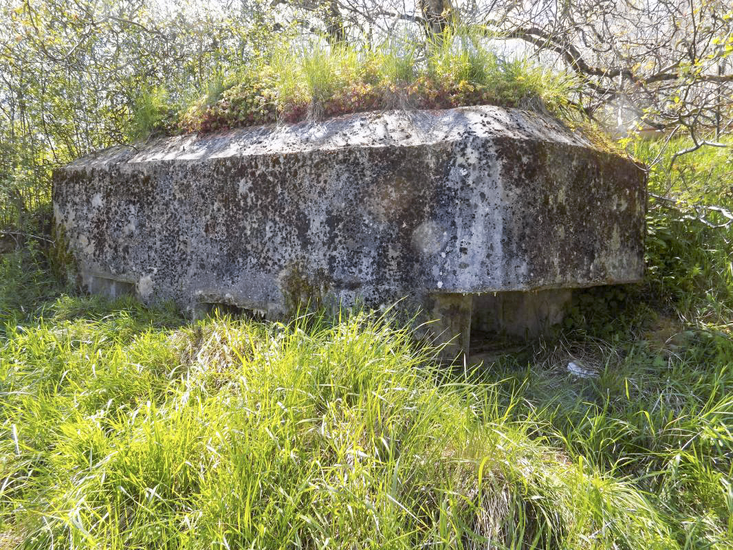 Ligne Maginot - 13C - MONT DE BRUNE SUD - (Blockhaus pour arme infanterie) - Faces frontale et gauche - R Tucker