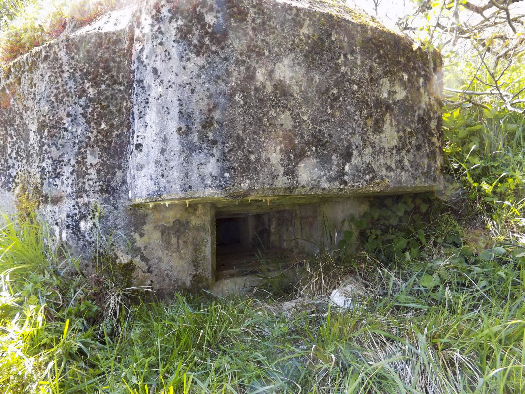 Ligne Maginot - 13C - MONT DE BRUNE SUD - (Blockhaus pour arme infanterie) - Face gauche - R Tucker