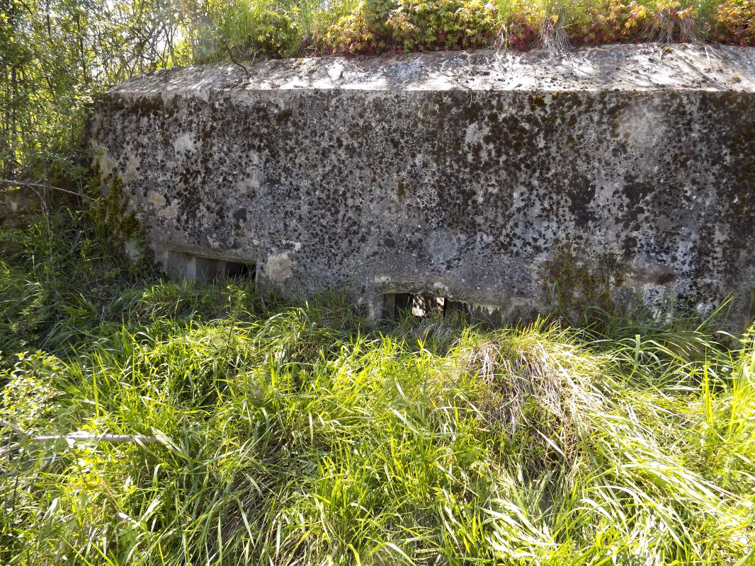 Ligne Maginot - 13C - MONT DE BRUNE SUD - (Blockhaus pour arme infanterie) - Face frontale - R Tucker