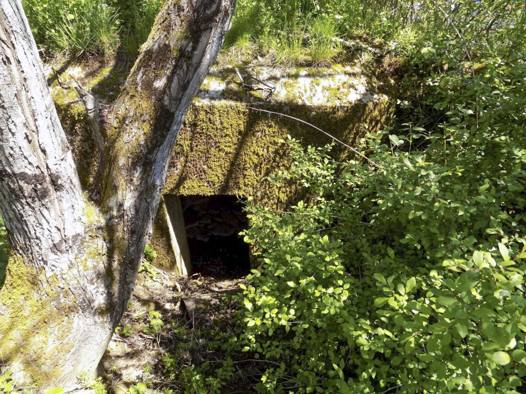 Ligne Maginot - 13C - MONT DE BRUNE SUD - (Blockhaus pour arme infanterie) - L'entrée - R Tucker