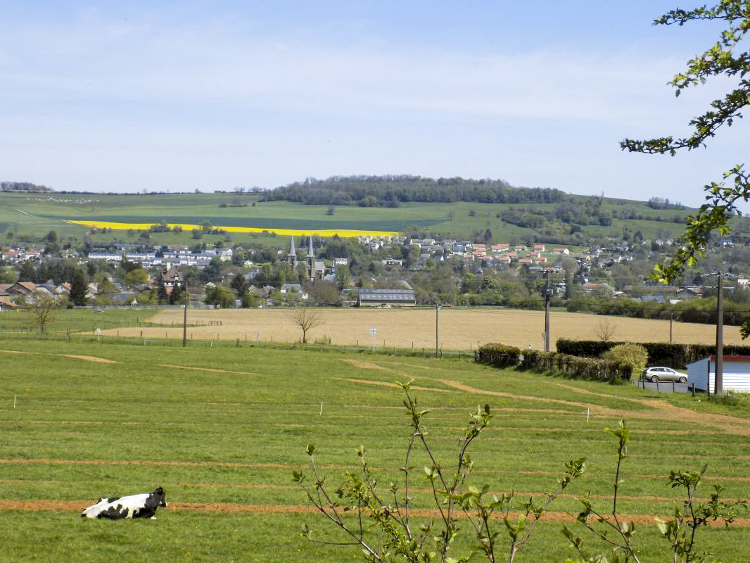 Ligne Maginot - 13C - MONT DE BRUNE SUD - (Blockhaus pour arme infanterie) - Vue vers le nord-est, Mouzon - R Tucker
