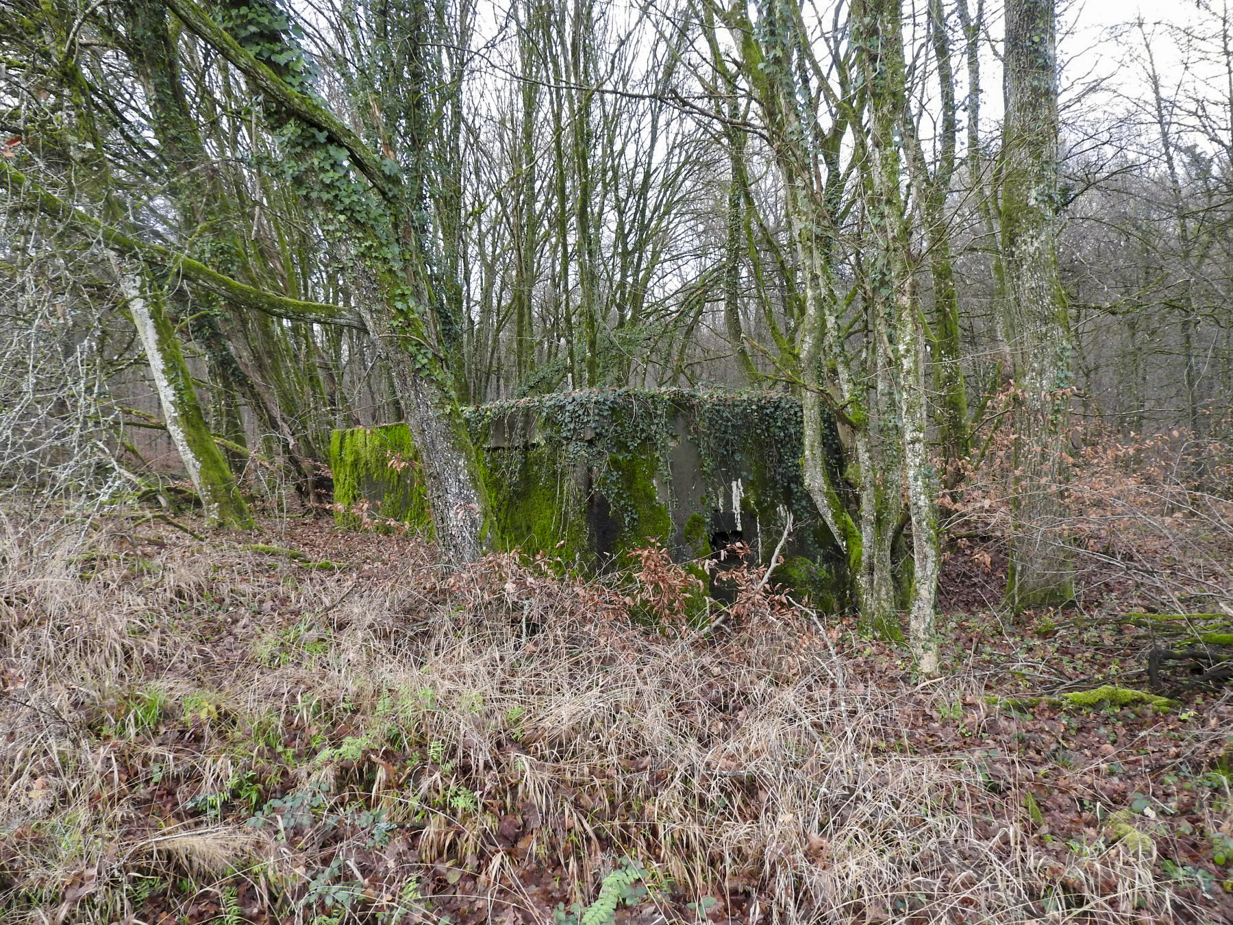 Ligne Maginot - BB357 - (Blockhaus pour arme infanterie) - Le blockhaus dans son environnement. - STENGER Mathieu