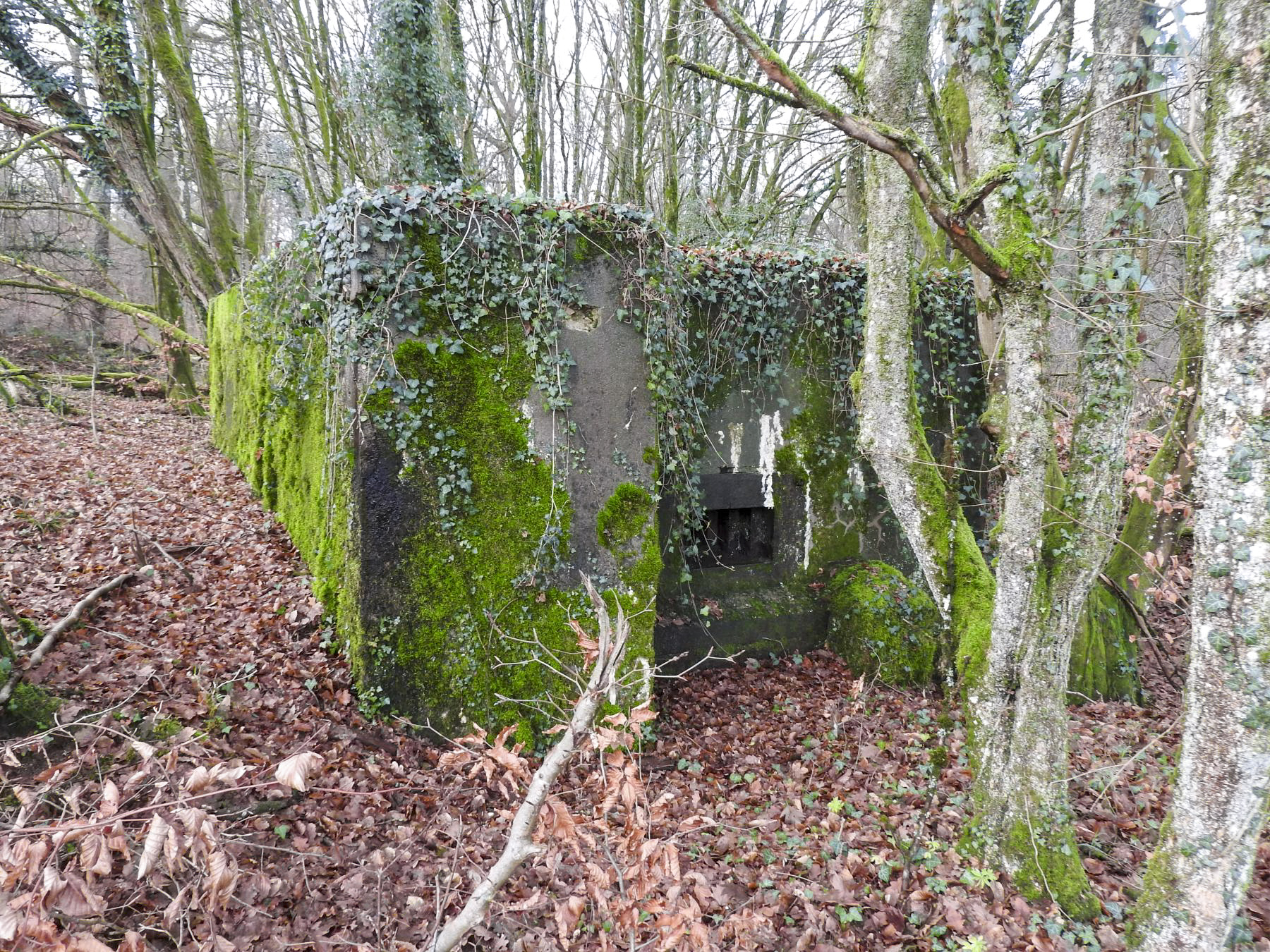 Ligne Maginot - BB357 - (Blockhaus pour arme infanterie) - La façade de tir. - STENGER Mathieu