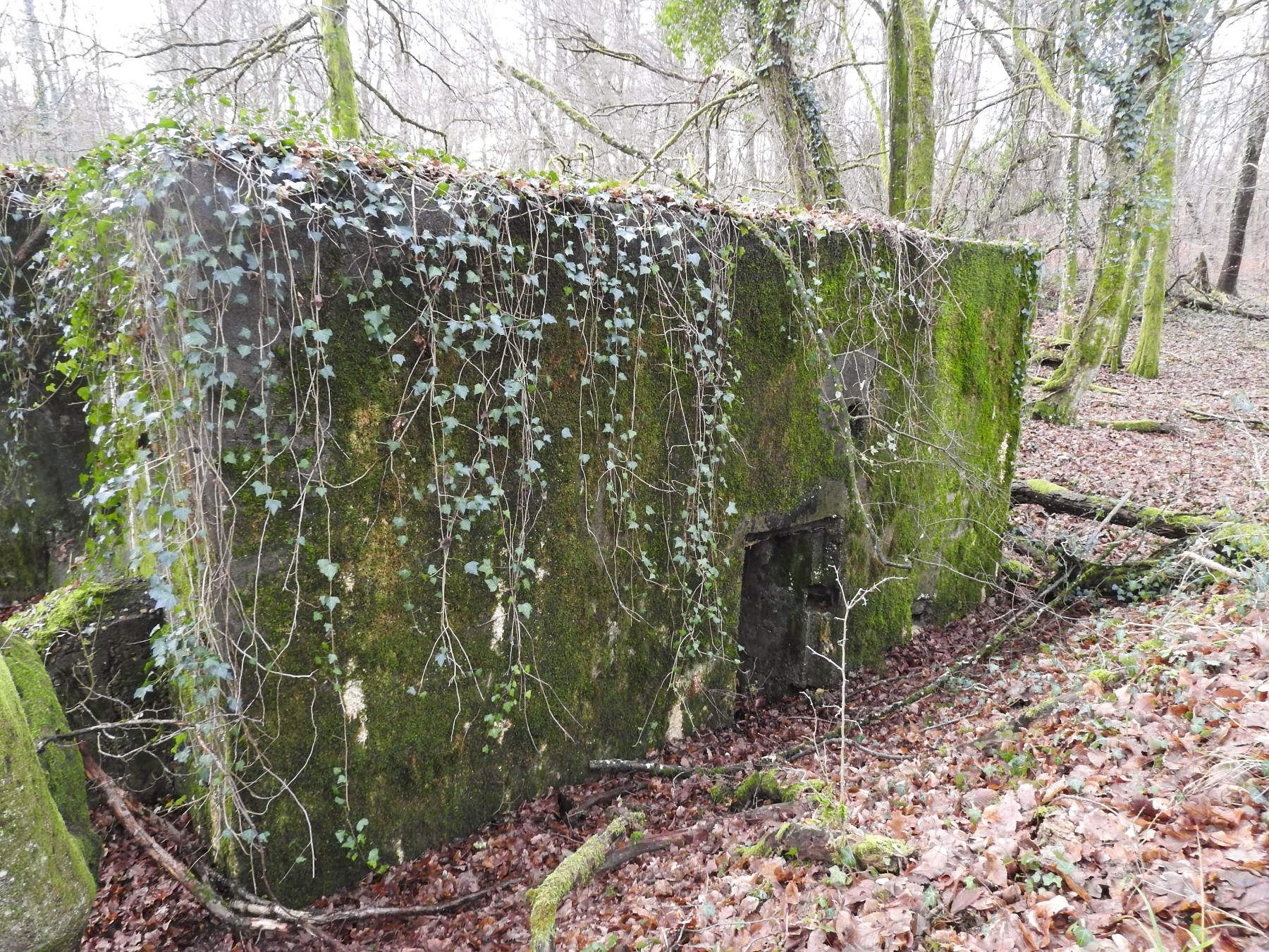 Ligne Maginot - BB357 - (Blockhaus pour arme infanterie) - L'entrée du blockhaus. - STENGER Mathieu