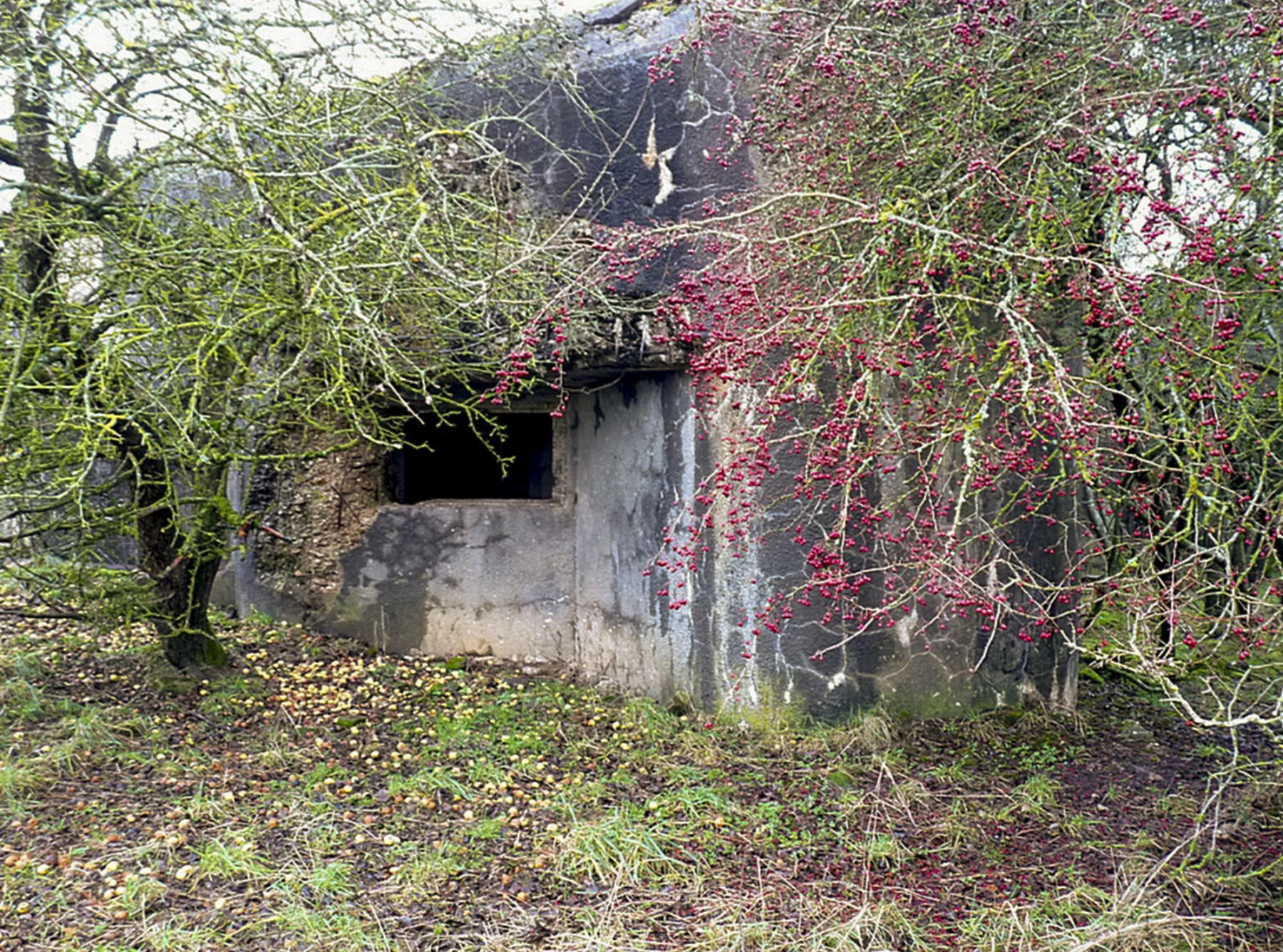 Ligne Maginot - MC21B - MC12 - (Casemate d'infanterie - double) -  - Sylvie Laure LAMBERT