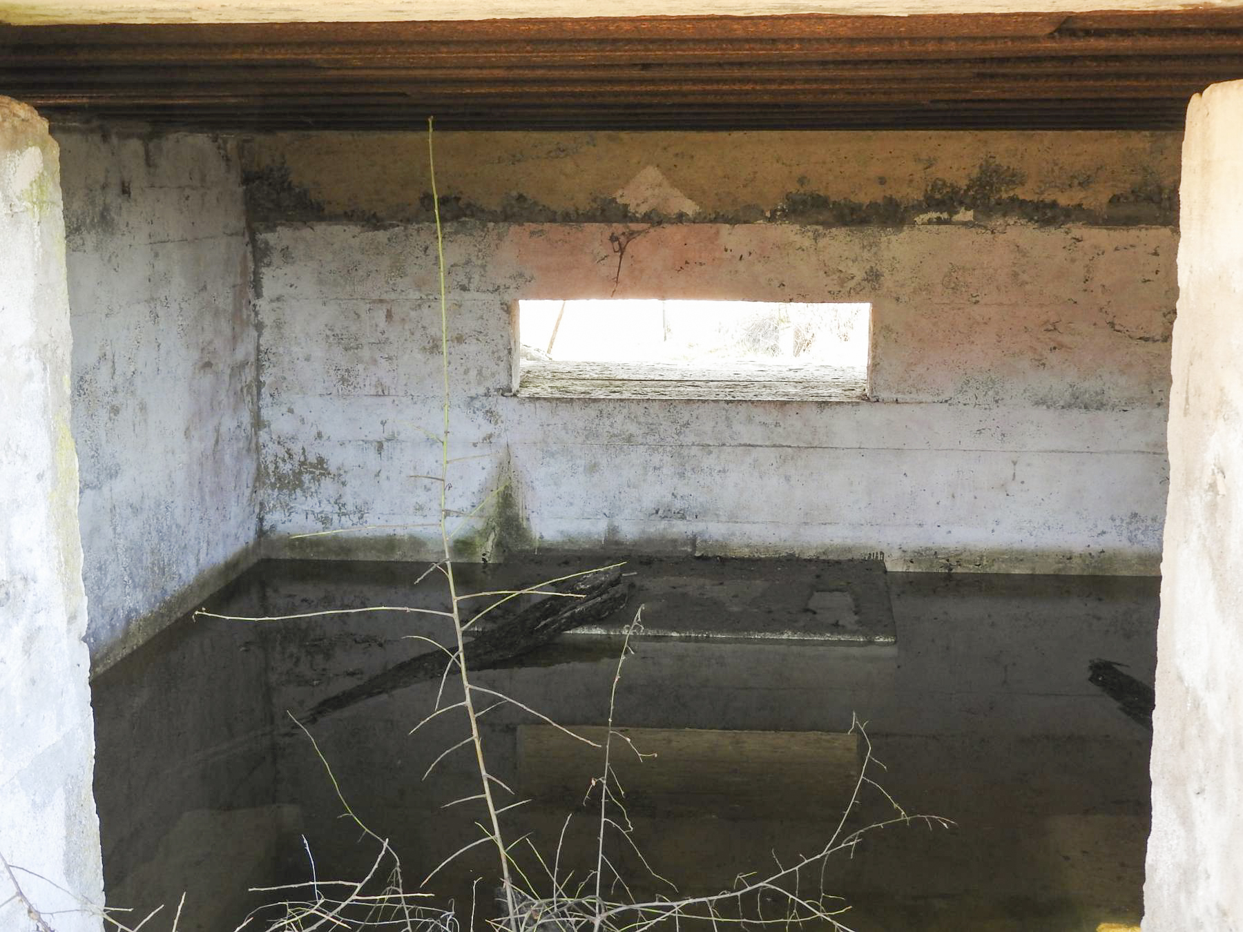 Ligne Maginot - BIDING EST 3 - (Blockhaus pour canon) - La chambre de tir pour un canon anti-char. - STENGER Mathieu
