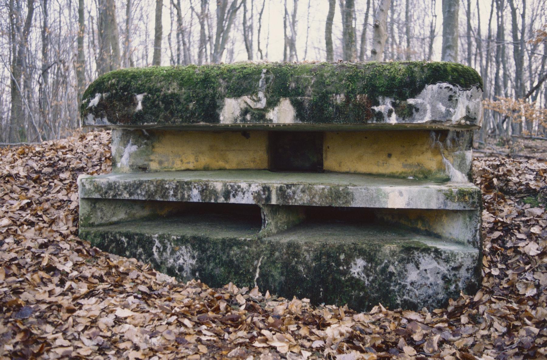 Ligne Maginot - HELLENWALD 4 - (Observatoire d'infanterie) -  - MANSUY Michel