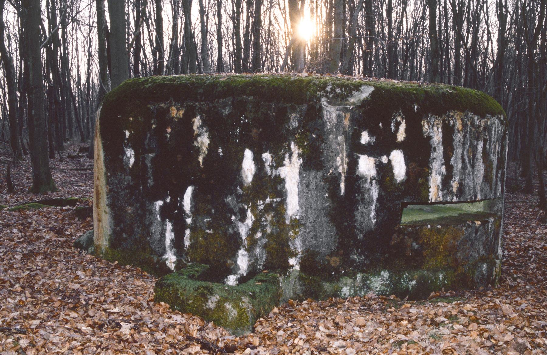 Ligne Maginot - HELLENWALD 5 - (Observatoire d'infanterie) -  - MANSUY Michel
